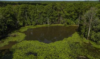 3 Ellafair Ln, Blythewood, SC 29016