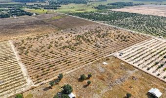 ALTURAS BABSON PARK CUTOFF, Bartow, FL 33830