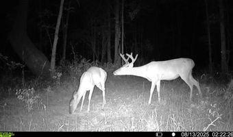 1 Champion Hill Rd, Bolton, MS 39041