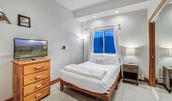 1095 Quartzville Rd, Alma, CO 80440
