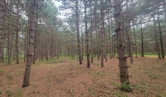Lot 114 County Road Z, Arkdale, WI 54613