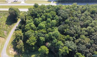 2 93 Acres Highway 231, Arab, AL 35016