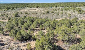 20 Acres Highway 285, Carson, NM 87577