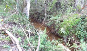 590 County Road 247, Bruce, MS 38915