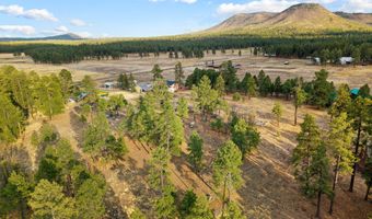 County Road N2144, Alpine, AZ 85920