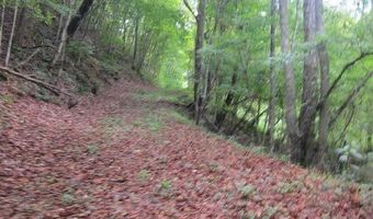 43 Sanctuary Ln, Alderson, WV 24910