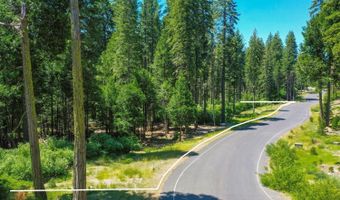 11 Timber Trail Ct, Arnold, CA 95223