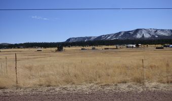 34 County Road 2100, Alpine, AZ 85920