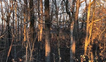 216 Eagle Rock Dr, Arab, AL 35016