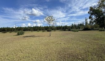 2731 Sawmill Rd, Ailey, GA 30410