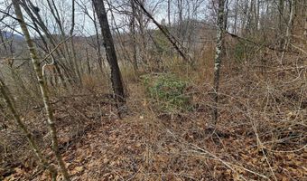 Tbd Ridge Avenue, Appalachia, VA 24216