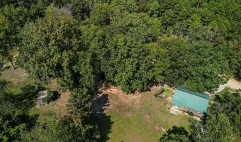 1300 County Road 113 Cabin 1, Alton, MO 65606