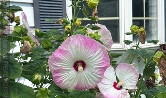 1207 8th St, Aurora, NE 68818