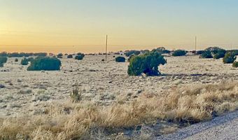 CR 5106, Concho, AZ 85924