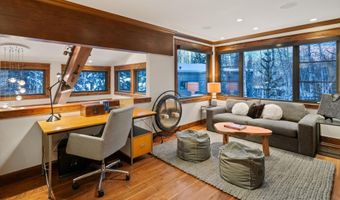 1345 Mayflower Ct, Aspen, CO 81611