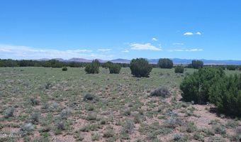 Tbd Windsor Valley Ranch Lot 87, Concho, AZ 85924
