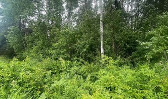 Degerstrom Road, Askov, MN 55704