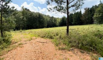 6150 SHOAL CREEK Rd 124+/- Acres, Ashville, AL 35953