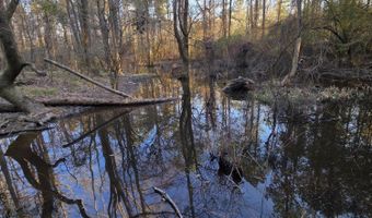 U.S. Highway 51, Bogue Chitto, MS 39629