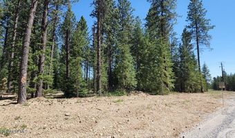 NNA Lot 4 TJ Trail, Athol, ID 83801