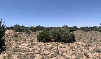 110 Mesa Redondo Ranch Rd, Concho, AZ 85924