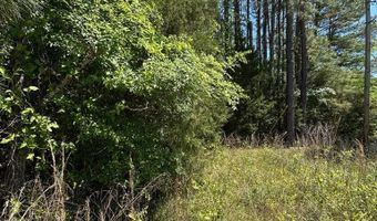 Stewart Rd, Abbeville, SC 29620