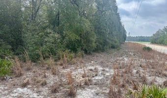 NW 11th Ave, Bell, FL 32619