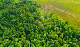 County Road Y, Aniwa, WI 54408