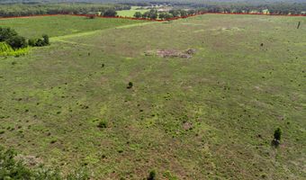 7009 129 Hwy, Bell, FL 32619