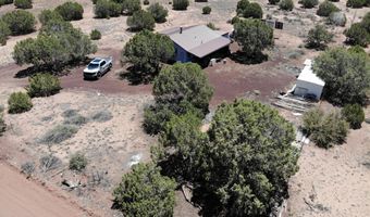 38 County Road 8283, Concho, AZ 85924