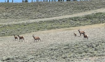 618 N COTTONWOOD Rd, Daniel, WY 83115