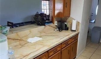 1319 Sago Palm St, Alamo, TX 78516
