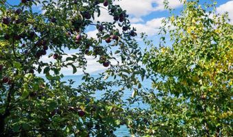 19571 Mt Highway 35, Bigfork, MT 59911