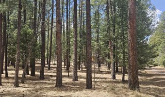 15 County Road 2065, Alpine, AZ 85920