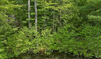 Big Barndoor Island lot Map 80 Lot 37, Alton, NH 03810