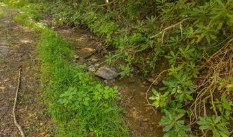 997 Miller Hollow Rd, Bean Station, TN 37708