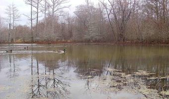 Gun Baoyu Road, Belzoni, MS 39038