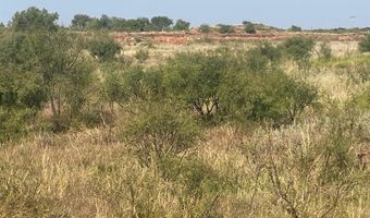 6525 E 180, Anson, TX 75901