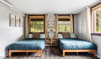133 GOLD RUN Rd, Alma, CO 80440