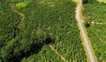 County Road 53, Banks, AL 36005