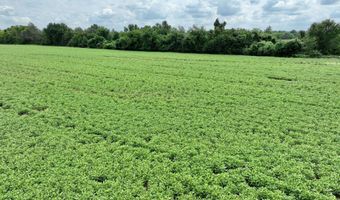 290 CR, Asbury, MO 64832