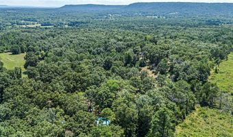425 Hartwick Ln, Atkins, AR 72823