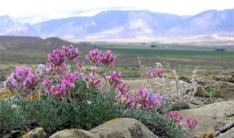 Tbd Richland Trail Clark Wyoming 80, Clark, WY 82435
