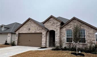 317 Tartane Dr, Anna, TX 75409