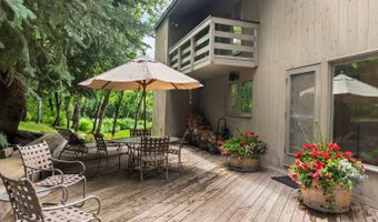 209 Larkspur Ln, Aspen, CO 81611