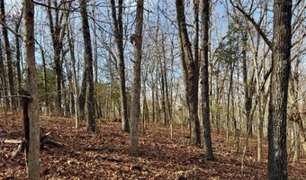 Farm Rd 1187 Lc, Ash Grove, MO 65604