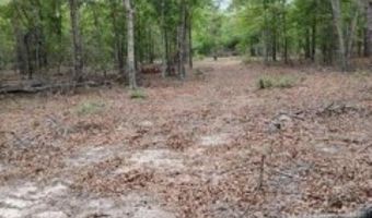 Double Pond Road, Blackville, SC 29817