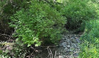 Townline Road, Angelica, NY 14709