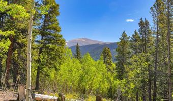 715 LEWSADER Rd, Alma, CO 80420