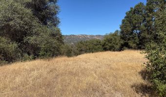 41902 Woodward Way, Ahwahnee, CA 93601